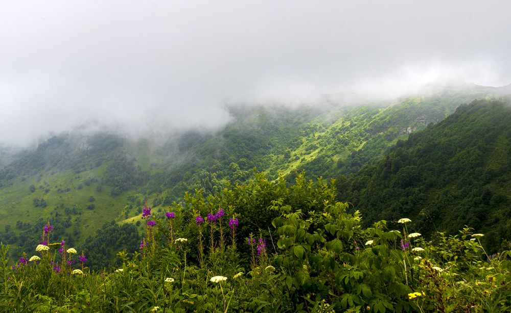 Photograph by Alex Kalpus