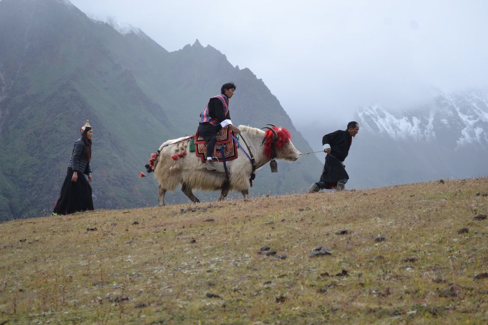 Photograph by Towchu Rabgay