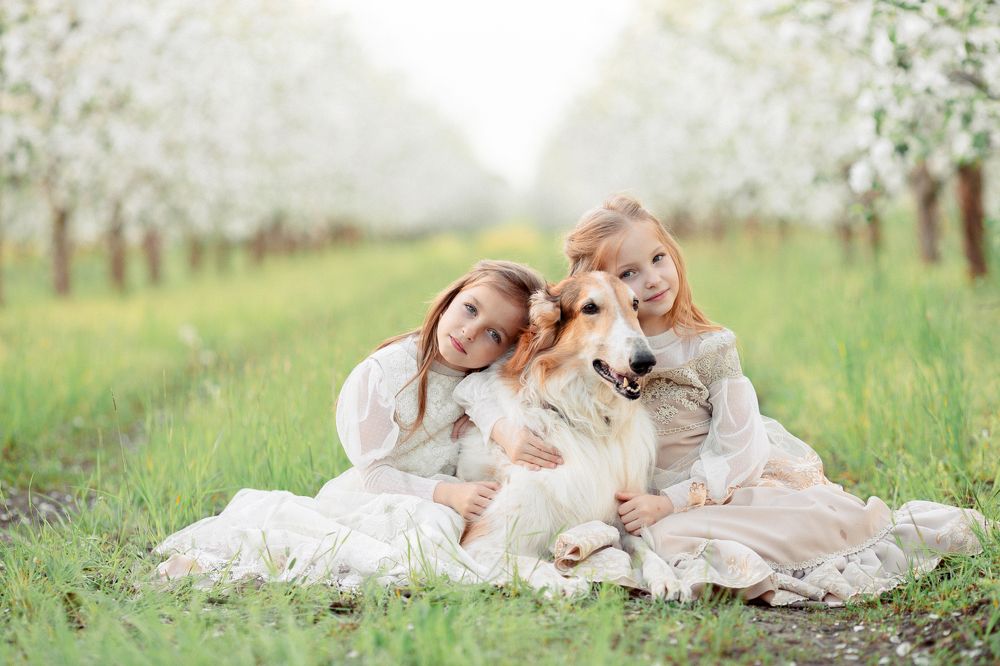 Photograph by Алиса Волошина