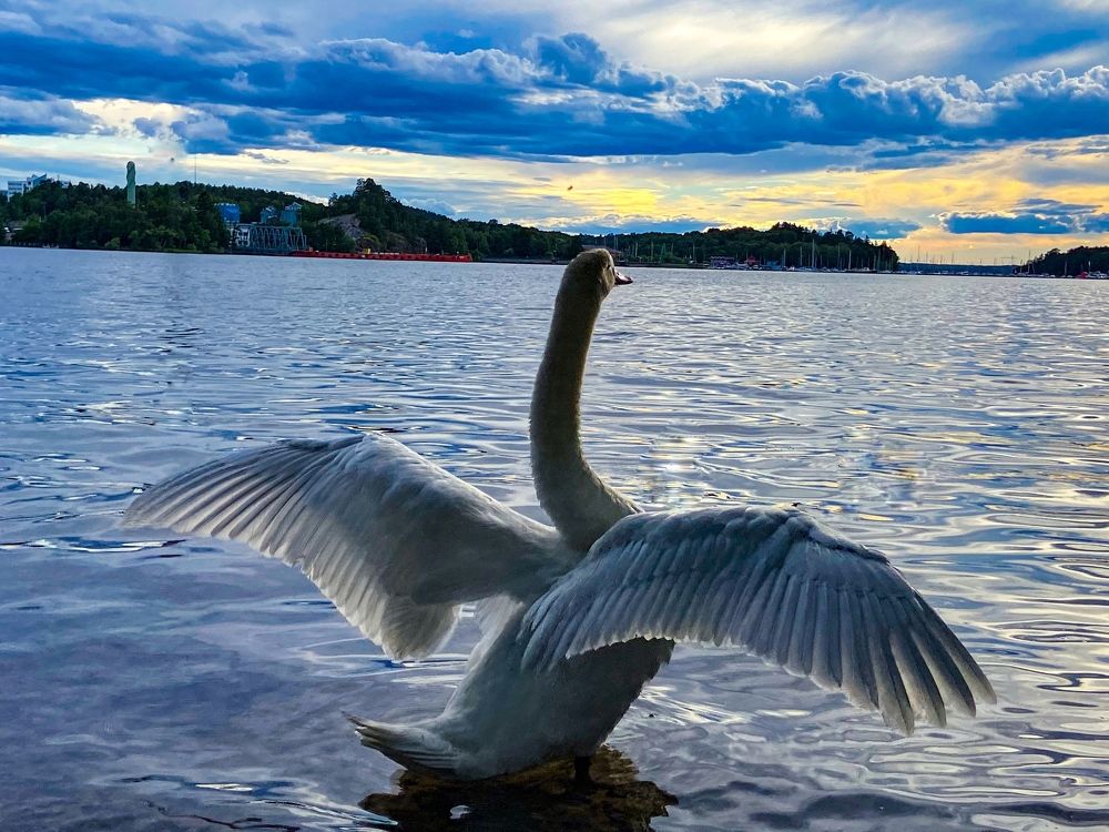 Photograph by Bojana Jevtic