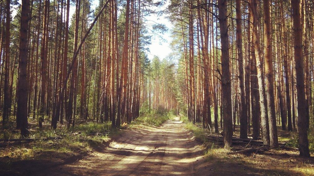 Photograph by Ирина Пичугина