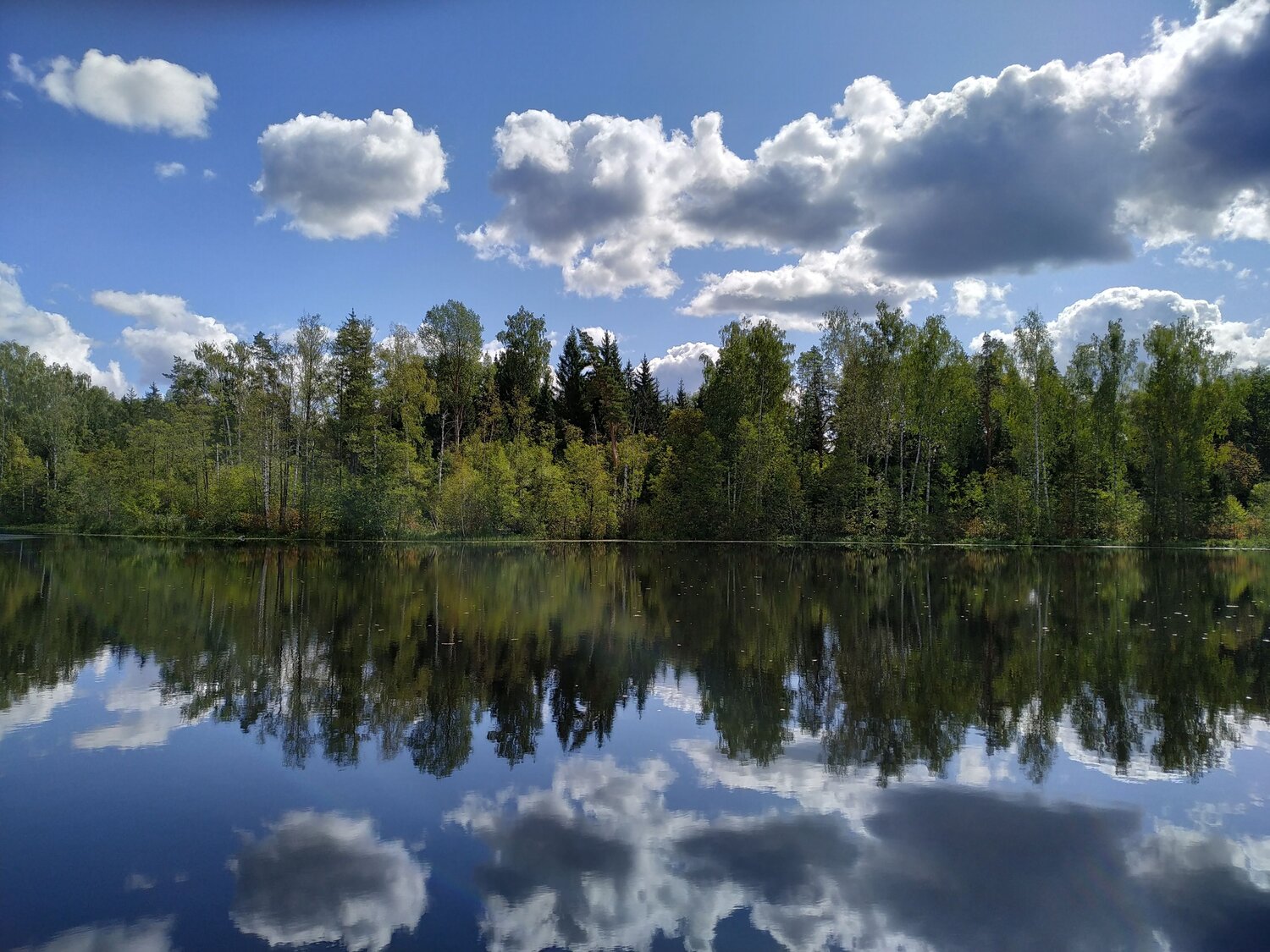 Photo #6844484