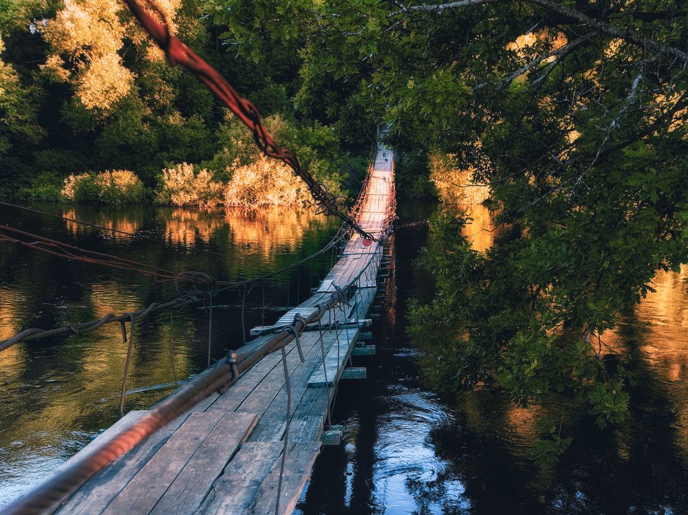 Photograph by z14photo