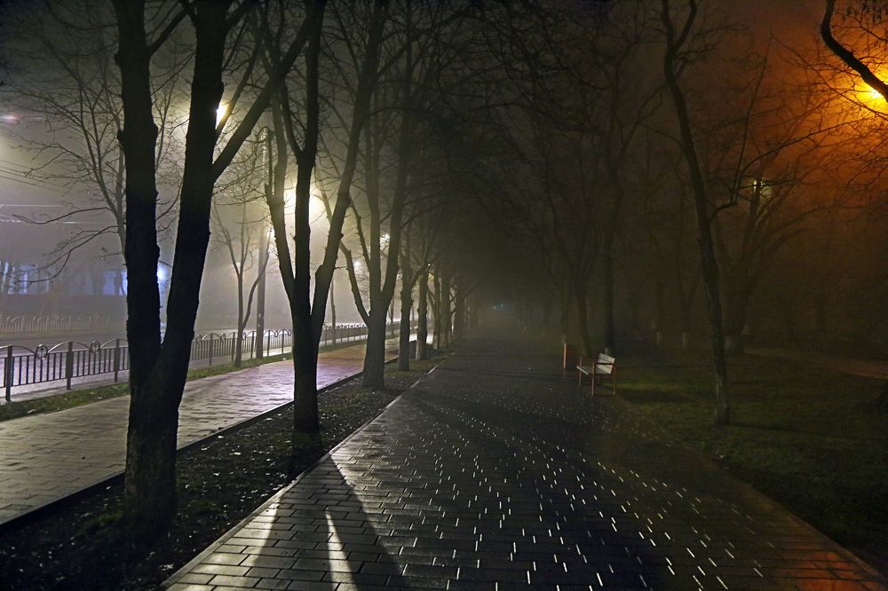 Ночь туманная!