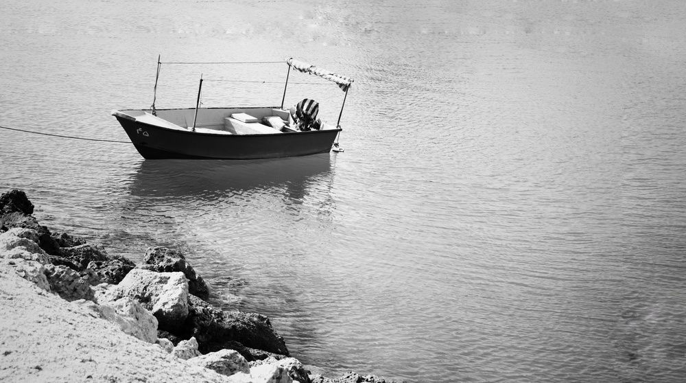 Photograph by Masoumeh Mahmoudi