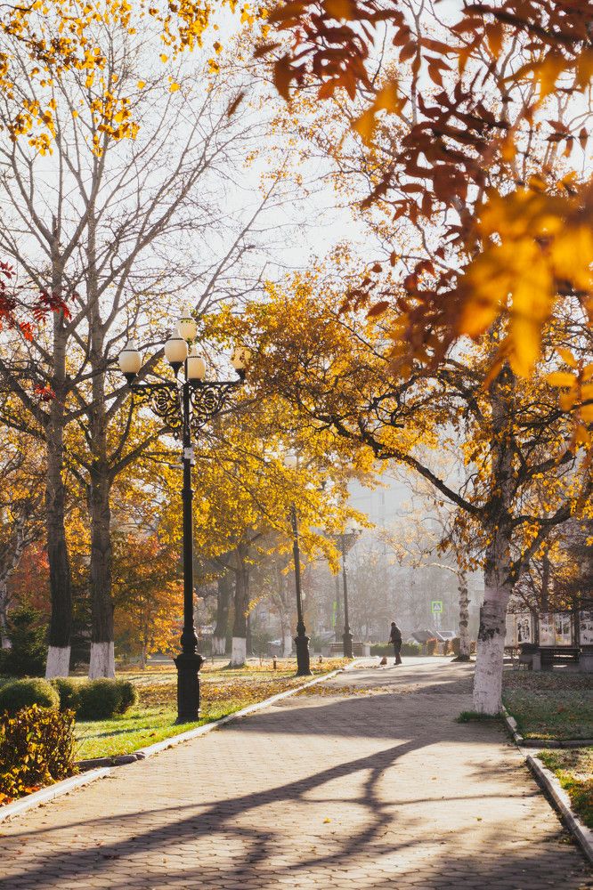 Photograph by Татьяна Моисеева