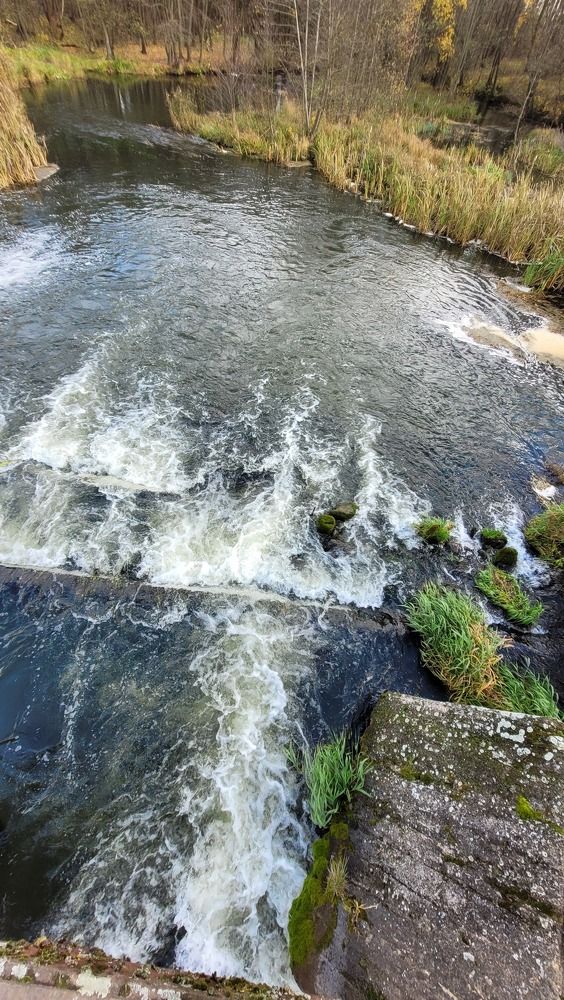 Фотография автора Lada Yakouchyk