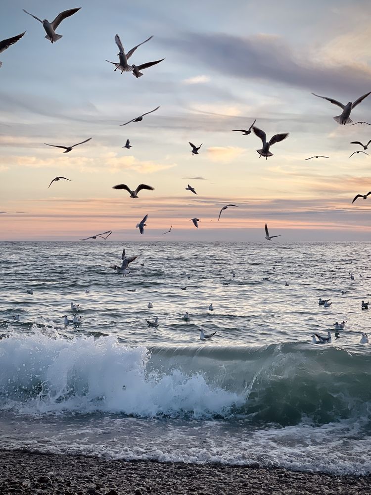 Фотография автора Наталья Хоруженко