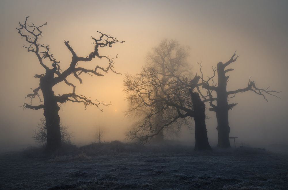 Photograph by Robert Kropacz