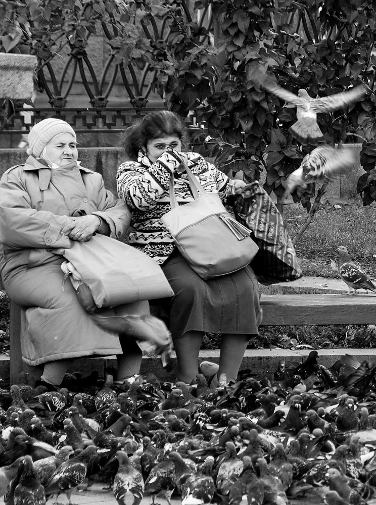 Photograph by Татьяна Зоренко