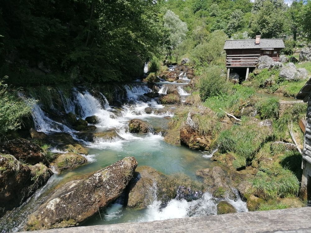 Фотография автора Danica Utjesinovic