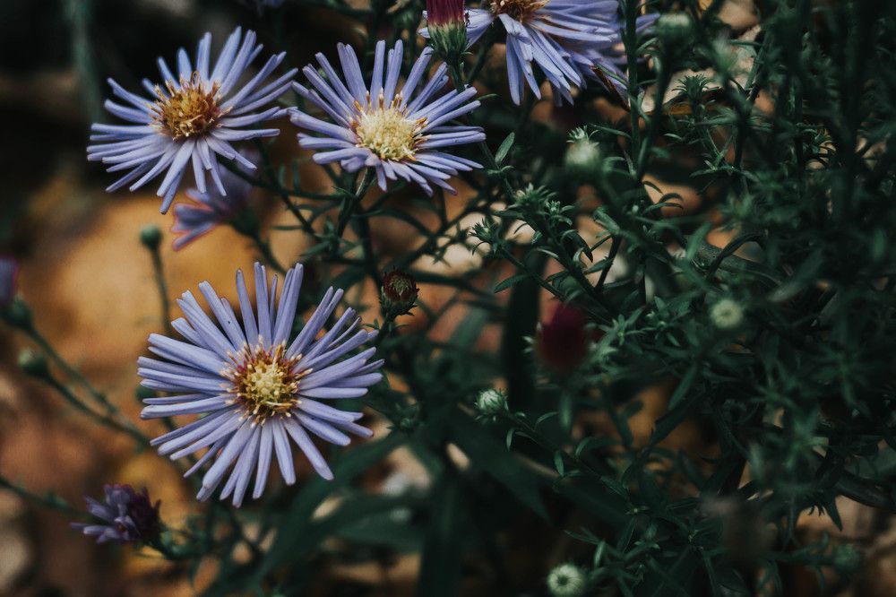 Photograph by Татьяна Моисеева