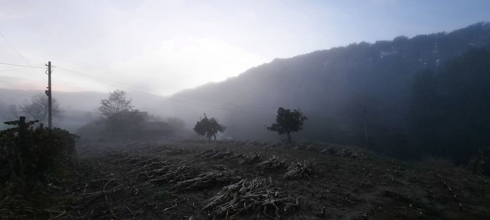 Photograph by Raduca Cosmin