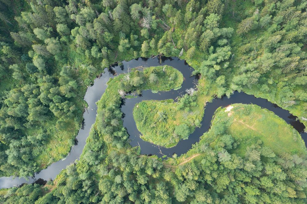 Линдуловская роща