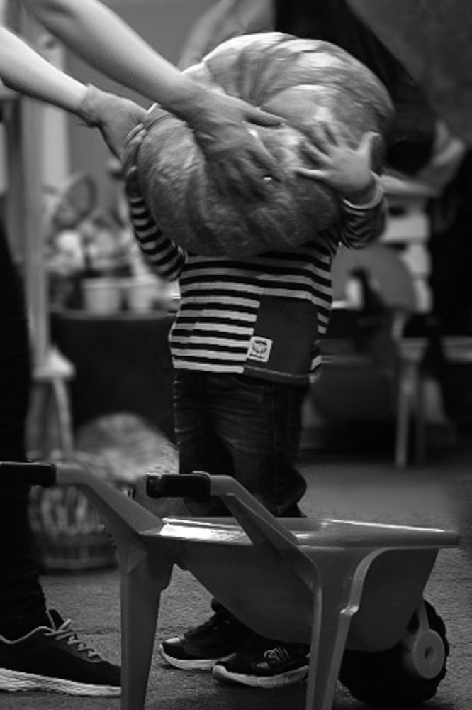 Любознательные