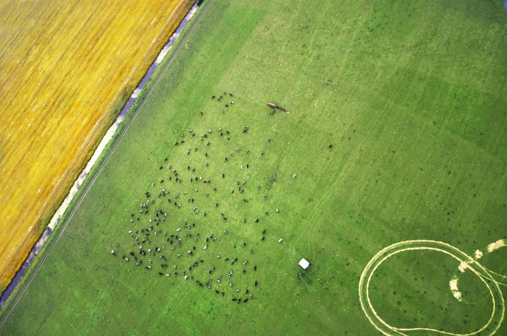 Photograph by Людмила Сиденко