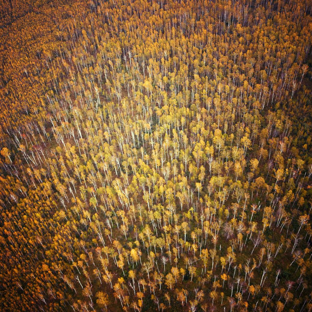 Photograph by Людмила Сиденко