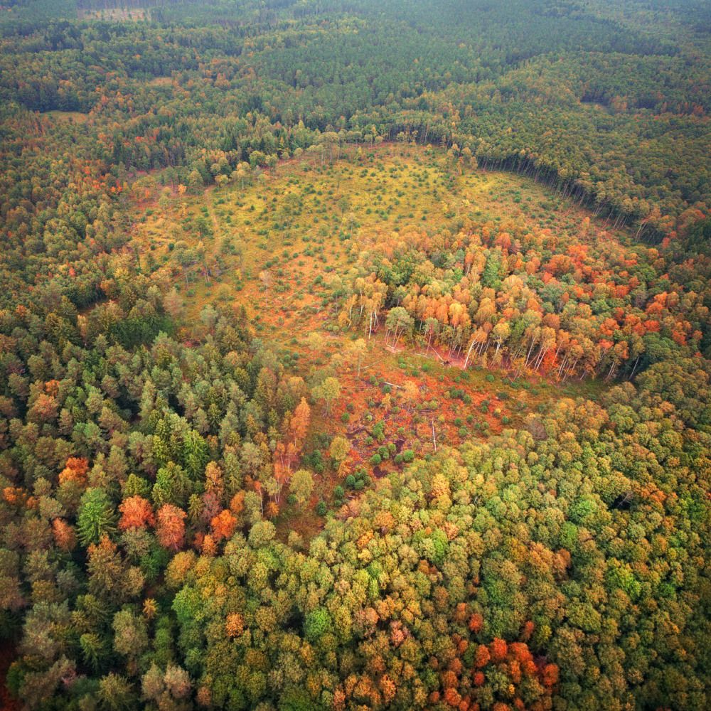 Photograph by Людмила Сиденко