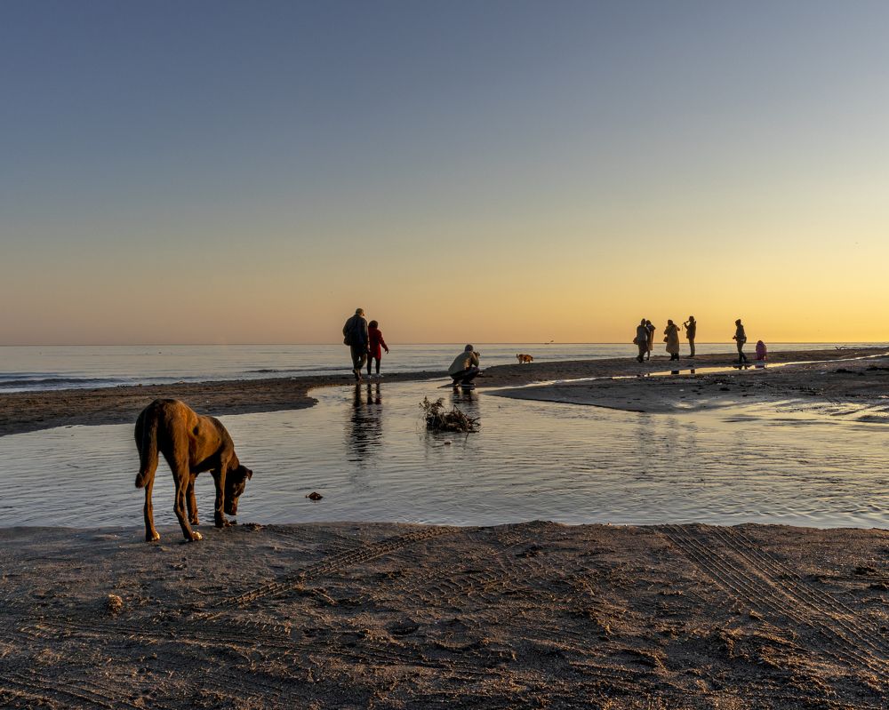 Photograph by sara shafigh