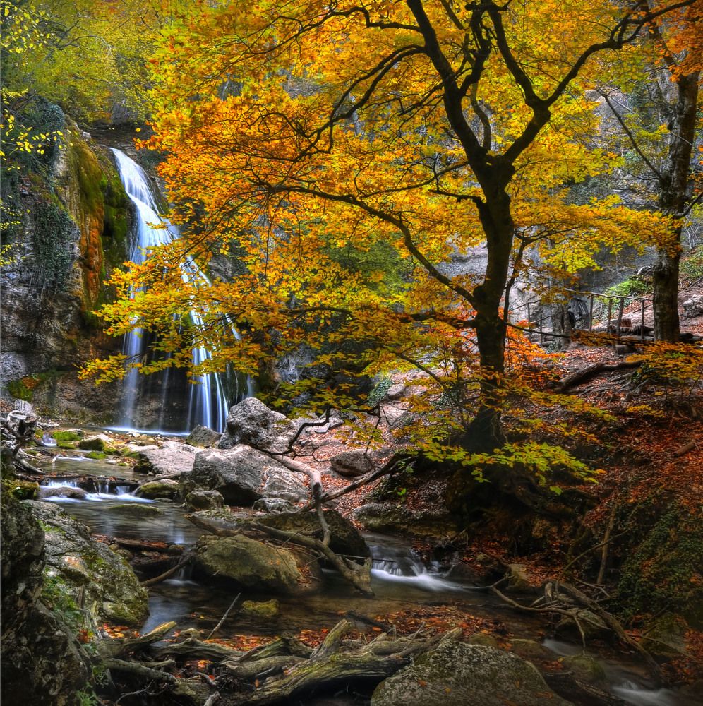 Photograph by Людмила Сиденко