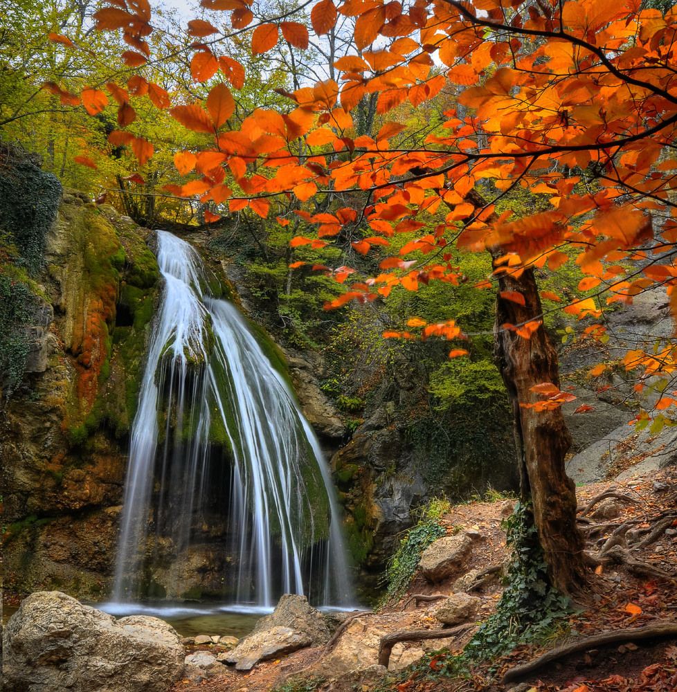 Photograph by Людмила Сиденко