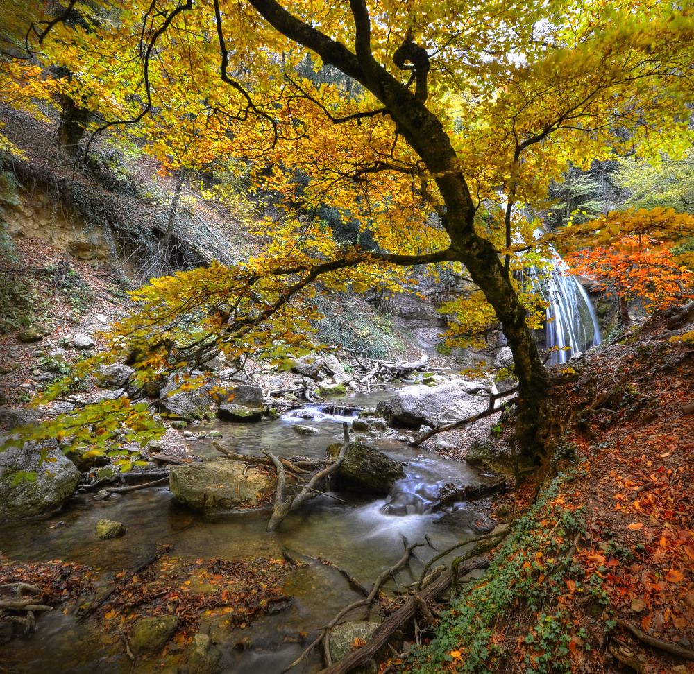 Photograph by Людмила Сиденко