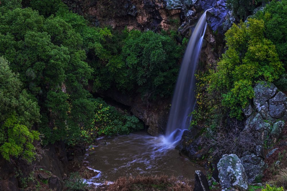 Photograph by Виктория Солодар