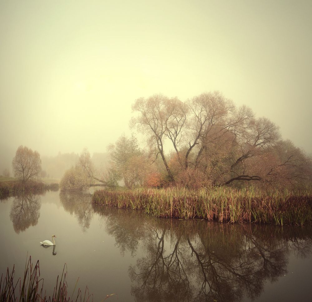 Photograph by Людмила Сиденко