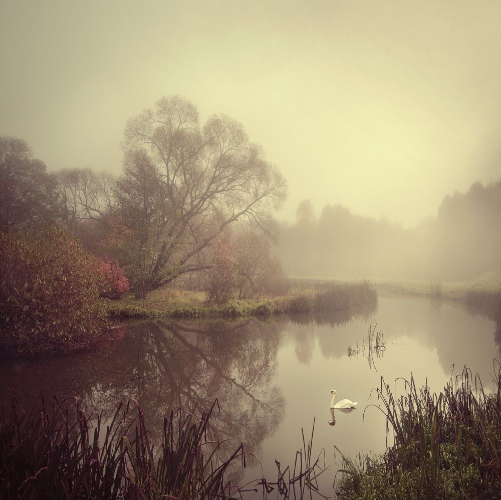 Photograph by Людмила Сиденко