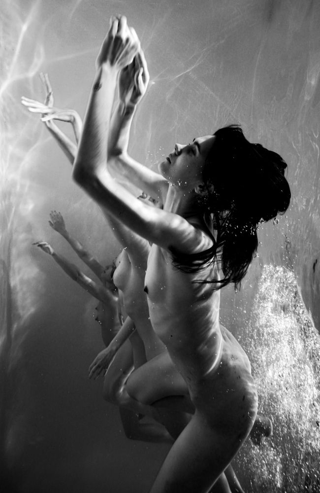 Photograph by José Oliveira