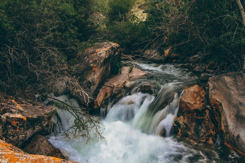 Photograph by Юлиан Хлыновский