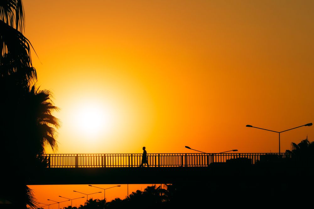 Photograph by Света Богоявленская