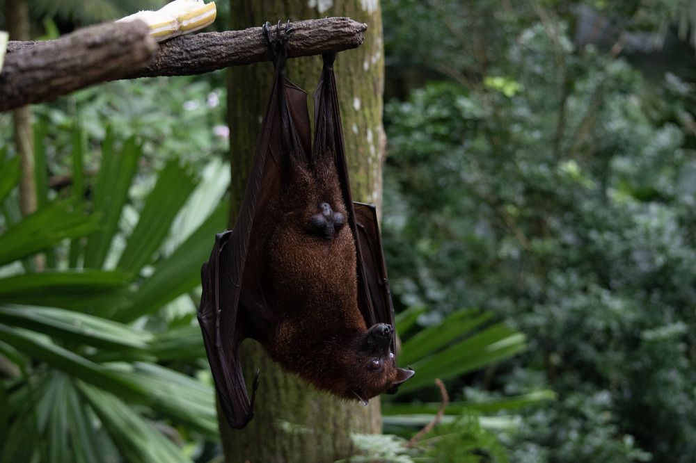 Фотография автора Laura Skwarek