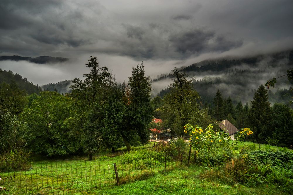 Photograph by Виктория Солодар