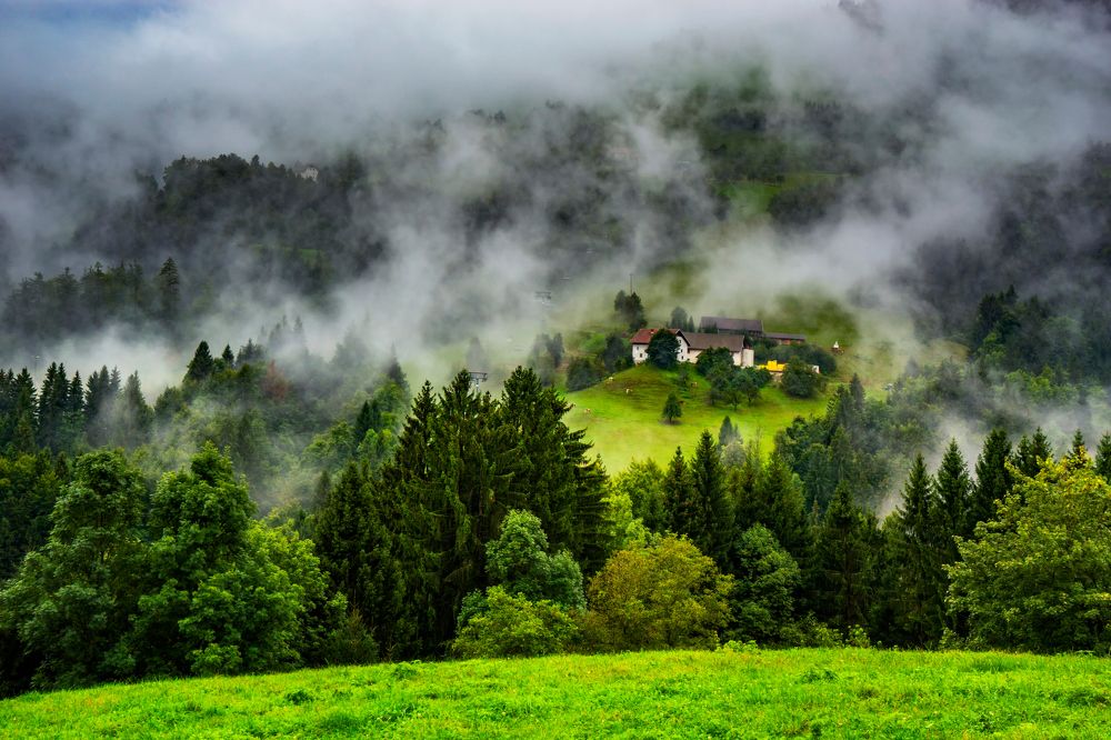 Photograph by Виктория Солодар