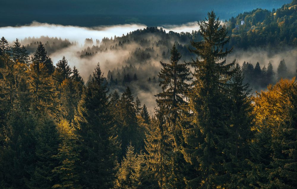 Photograph by Виктория Солодар