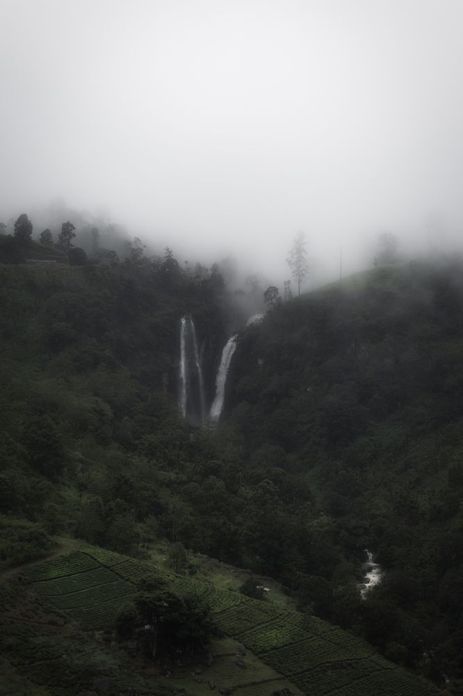 Falls Down under the mist