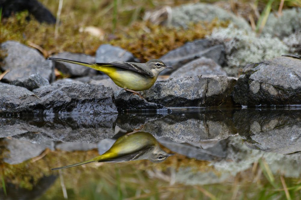 Photograph by Дмитрий Бухтик