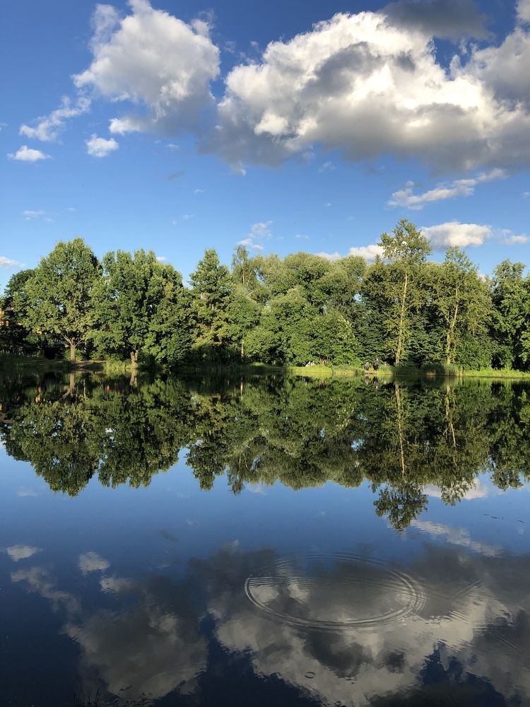 Photograph by Наталья