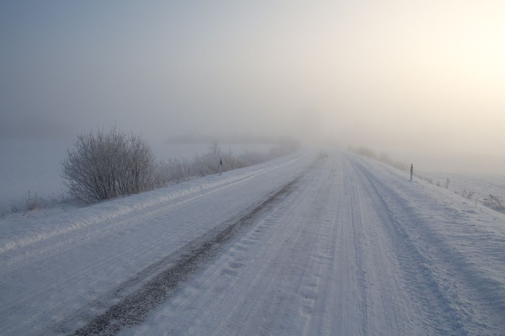 Photograph by Guntars