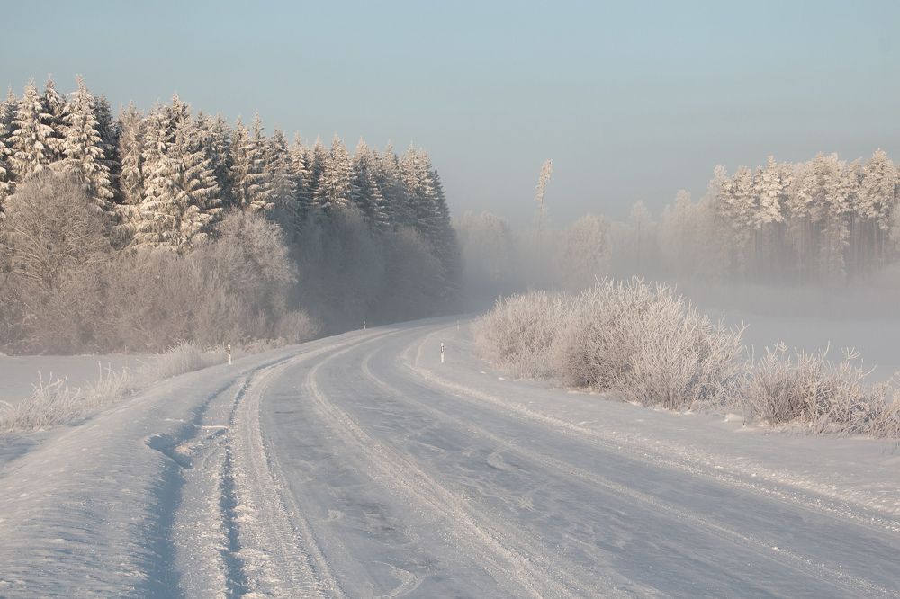 Photograph by Guntars