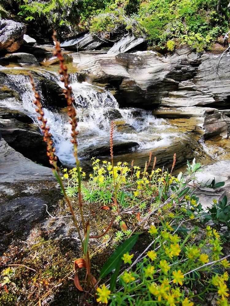 Photograph by Svetlana Jegorova