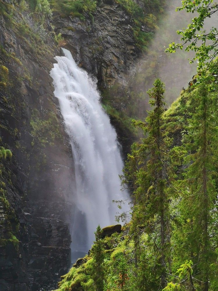 Photograph by Svetlana Jegorova