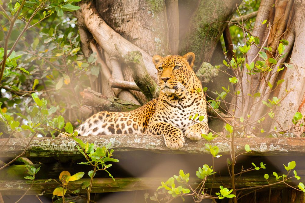 Photograph by Mackton Kipsang