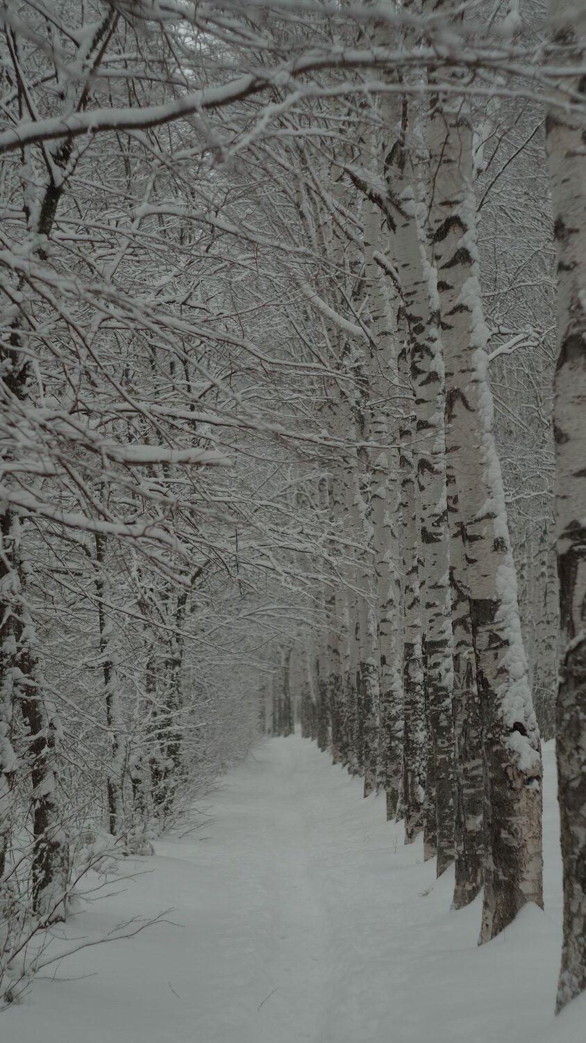 Photo #6845209