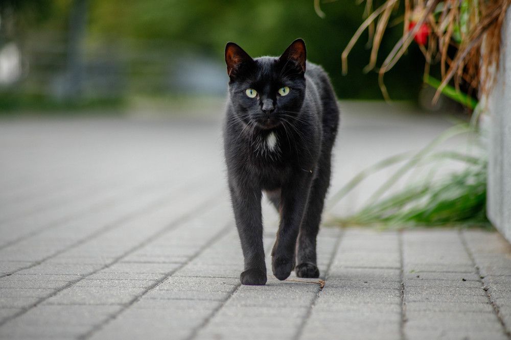 Photograph by Дима Захаров