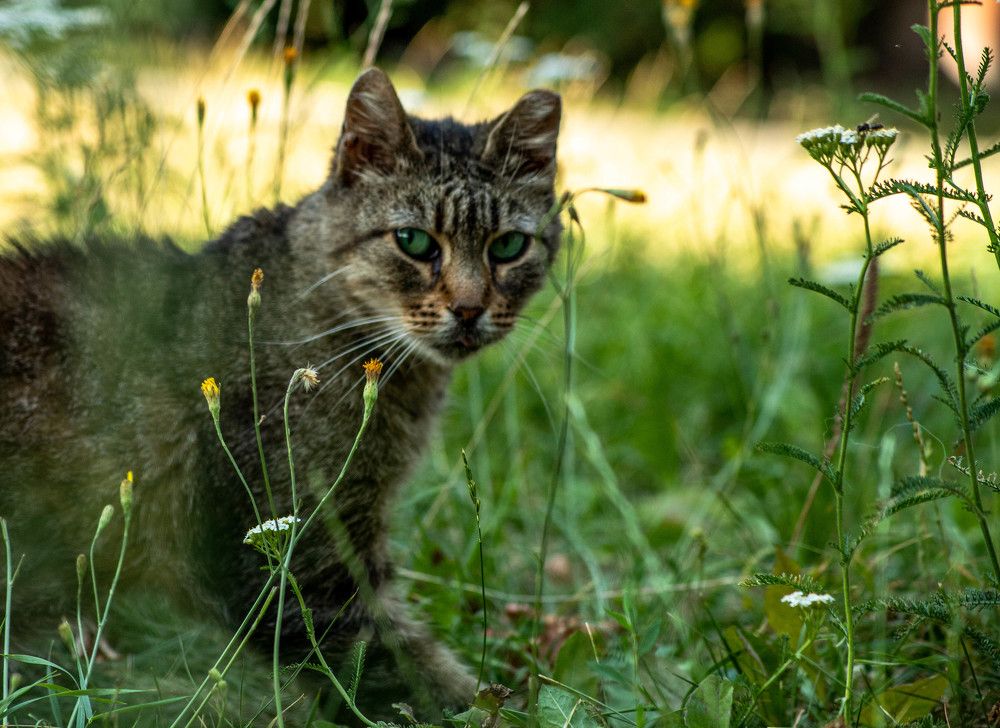 Photograph by Дима Захаров
