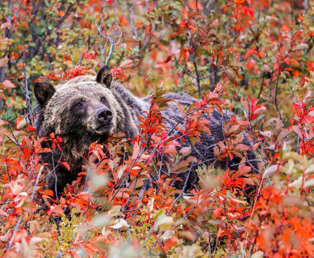 Photograph by Adeliene Lohman