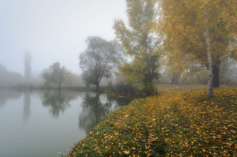 Photograph by Александр Кодак