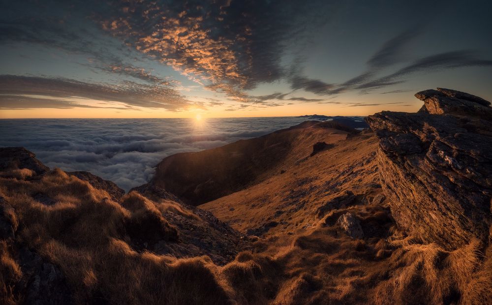 Photograph by Erik Baran